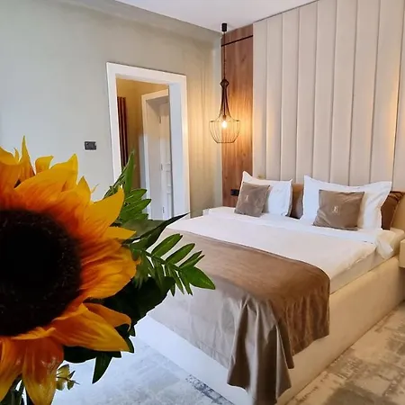 Elexus Boutique Hotel Predeal